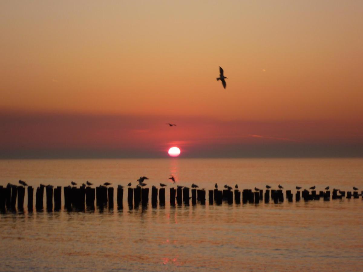 Vakantiehuis Domburg Do12 Eksteriør bilde
